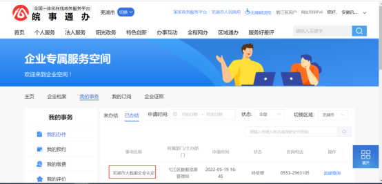 芜湖市大数据企业认定申请审批指南
