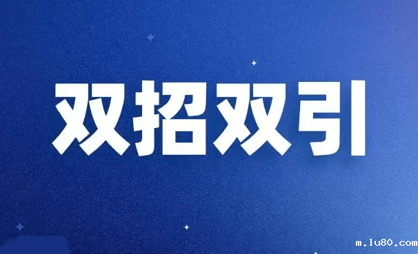 安徽省关于推动新兴产业“双招双引”和产业培育提质增效（2.0版）的意见