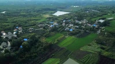 肥西县首只县级创投基金正式运行