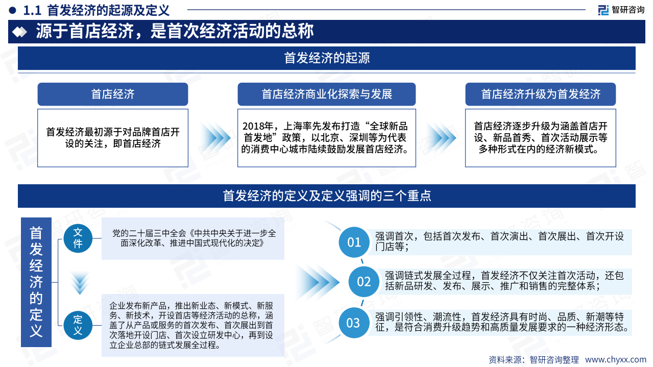 2025年中国首发经济产业发展报告
