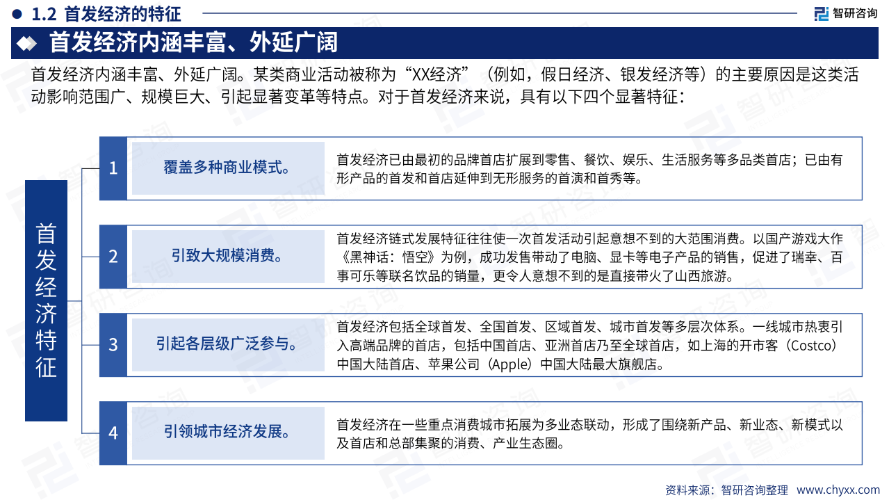 2025年中国首发经济产业发展报告