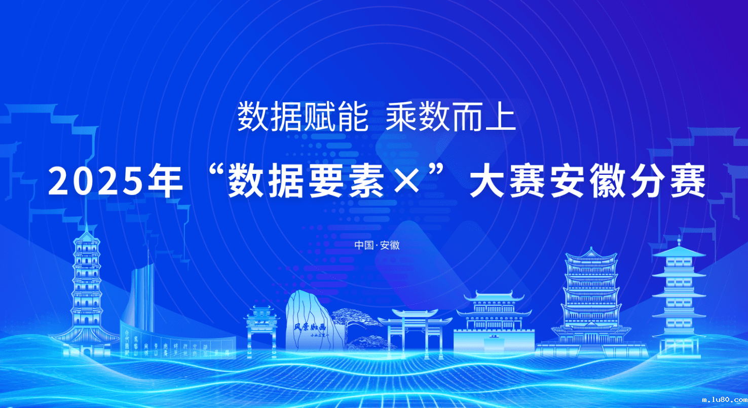 2025年“数据要素×”大赛安徽分赛