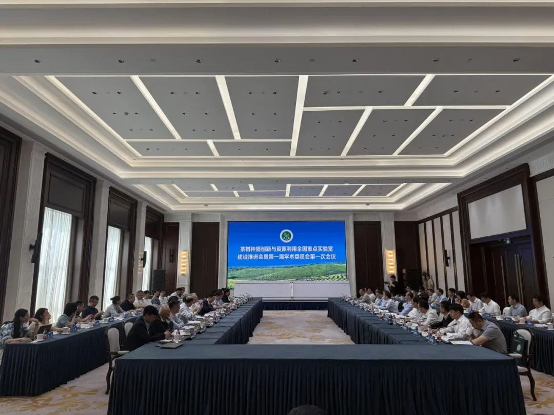 茶学领域全国重点实验室在合肥启动建设