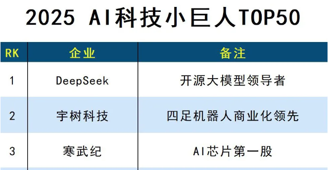2025 Al科技小巨人TOP50