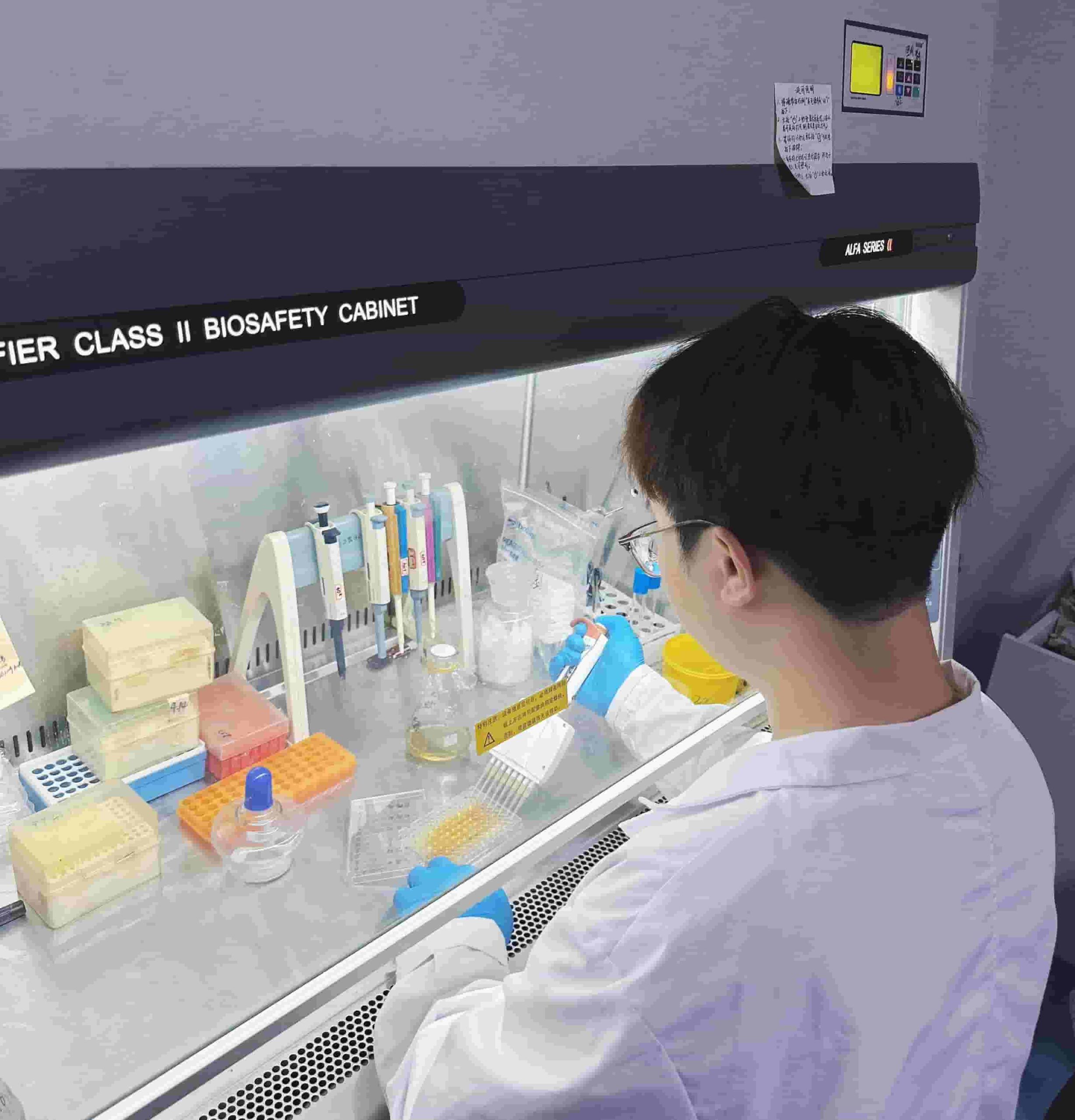 安医大发酵工程实验室酶技术推动绿色产业升级