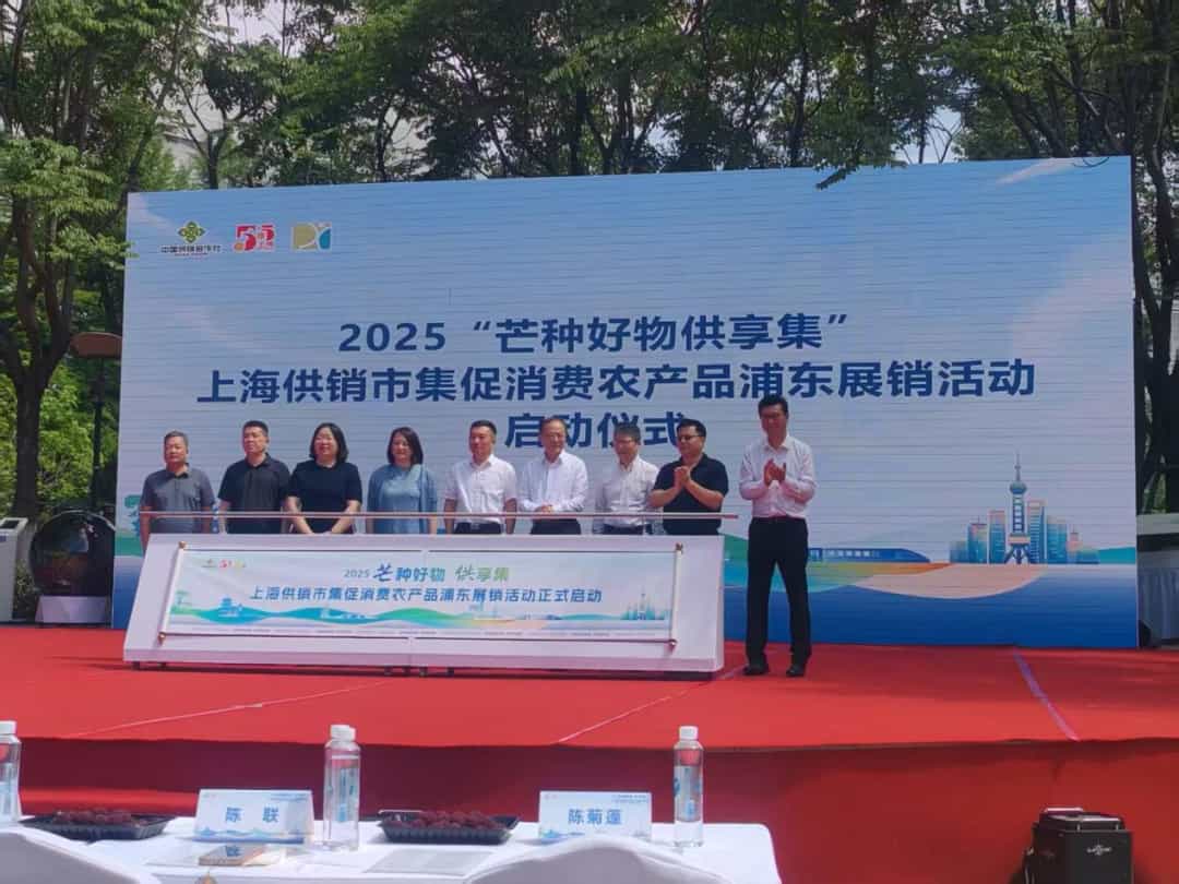 长三角供销人才联盟在沪成立