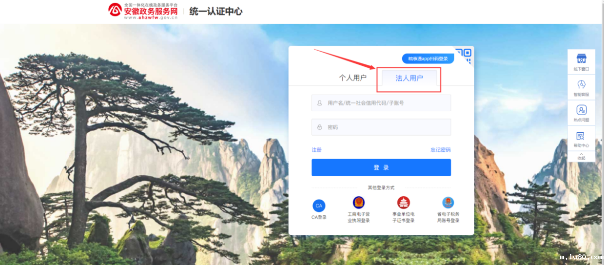 线上申报操作流程
