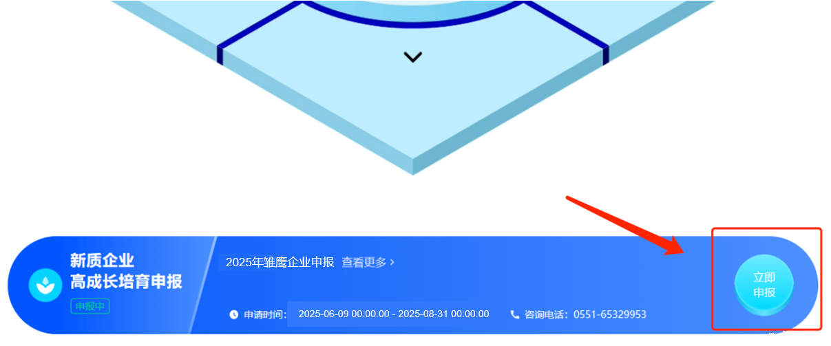 线上申报操作流程