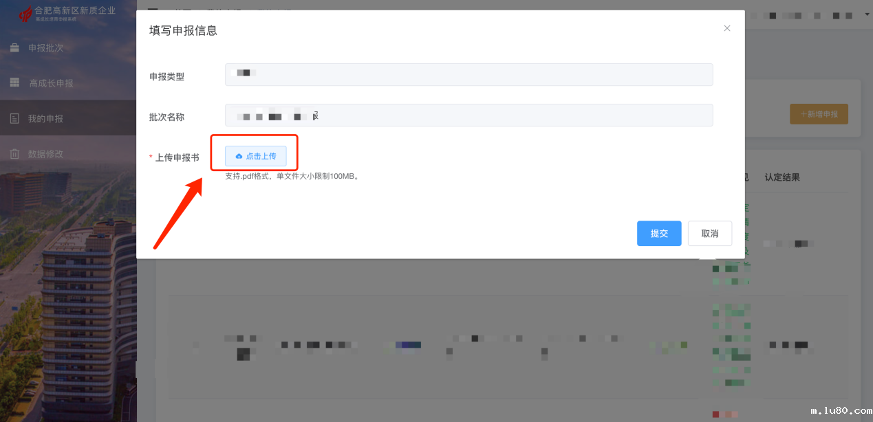 线上申报操作流程