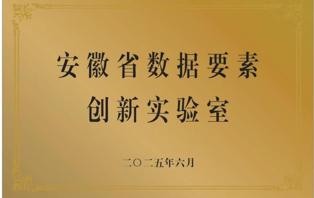 安徽省数据要素创新实验室正式揭牌并投入运营