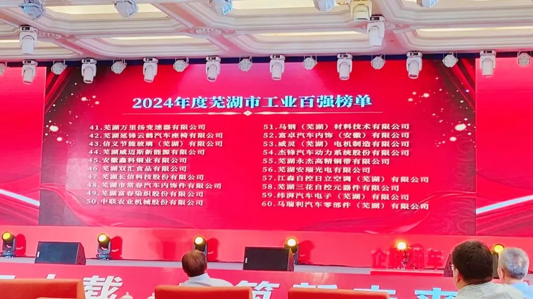 2024年度芜湖市企业排序榜单