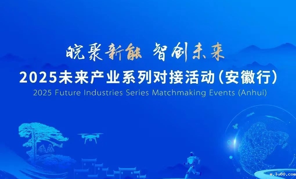 2025未来产业系列对接活动(安徽行)