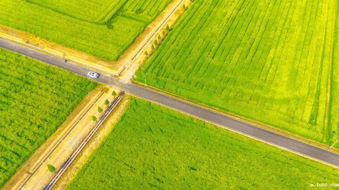 安徽精准开发适配农业发展融资需求的信贷产品