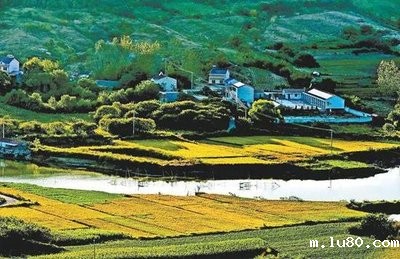 滁州创新“碳账户”破题企业绿色转型融资难