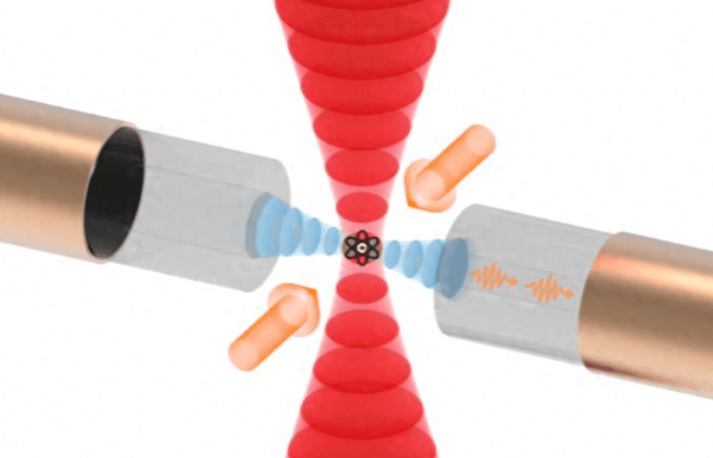 中国科大实现超快高保真度中性原子态探测