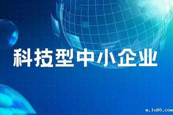科技型中小企业