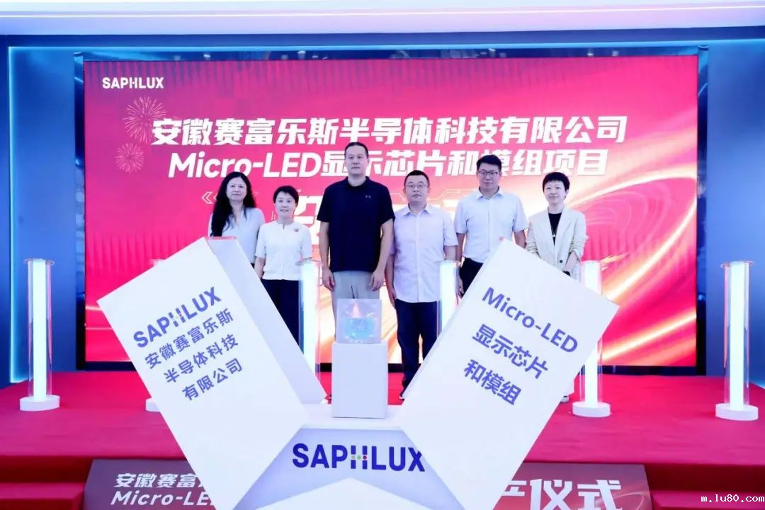 投资3亿元！六安市、上海市松江区合作项目正式投产