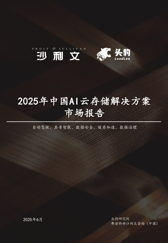 2025年中国AI云存储解决方案市场报告