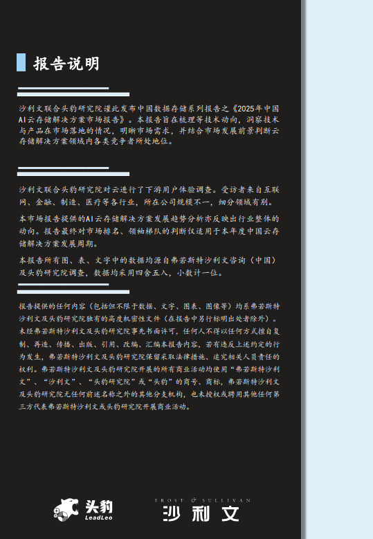 2025年中国AI云存储解决方案市场报告