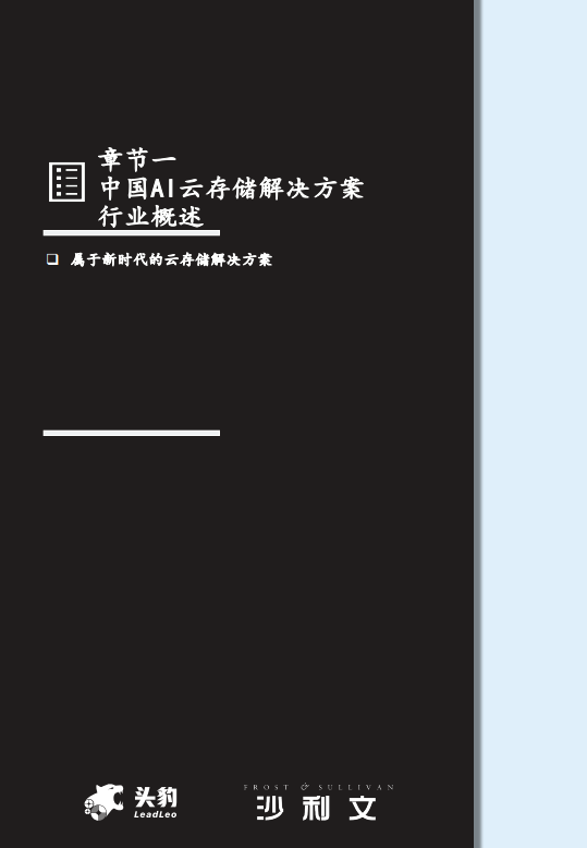 2025年中国AI云存储解决方案市场报告