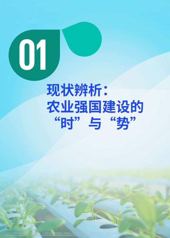 田野之声：现代农业发展深度调查报告