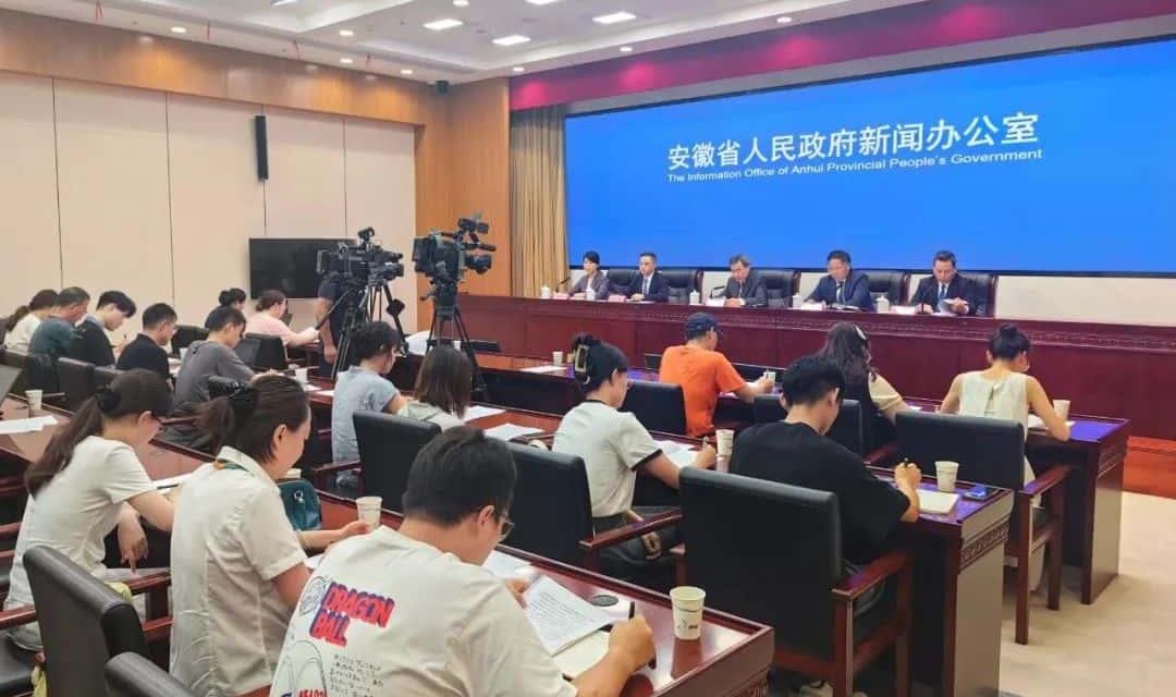 点“数”成金！高水平建设安徽国家数据要素综合试验区