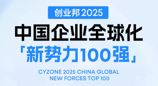2025中国企业全球化新势力100强榜单