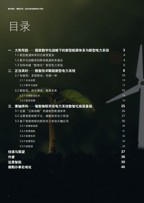 数字驱动、智慧引领：迈向未来的新型电力系统