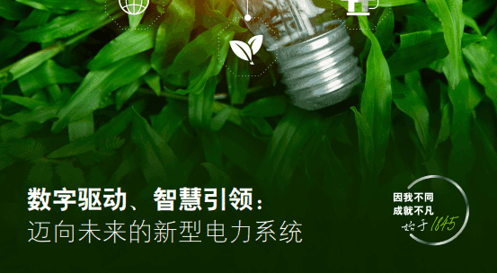 数字驱动、智慧引领：迈向未来的新型电力系统