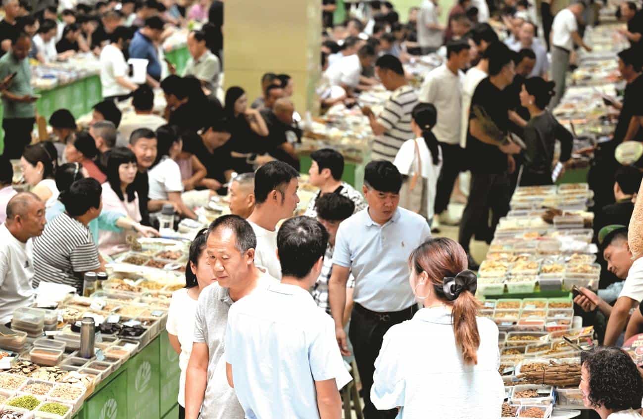 国际(亳州)中医药博览会即将开幕