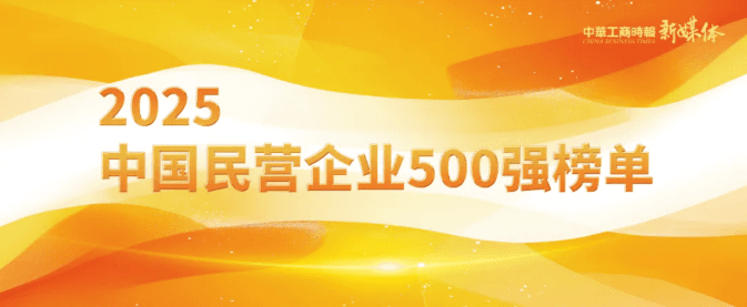 2025中国民营企业500强