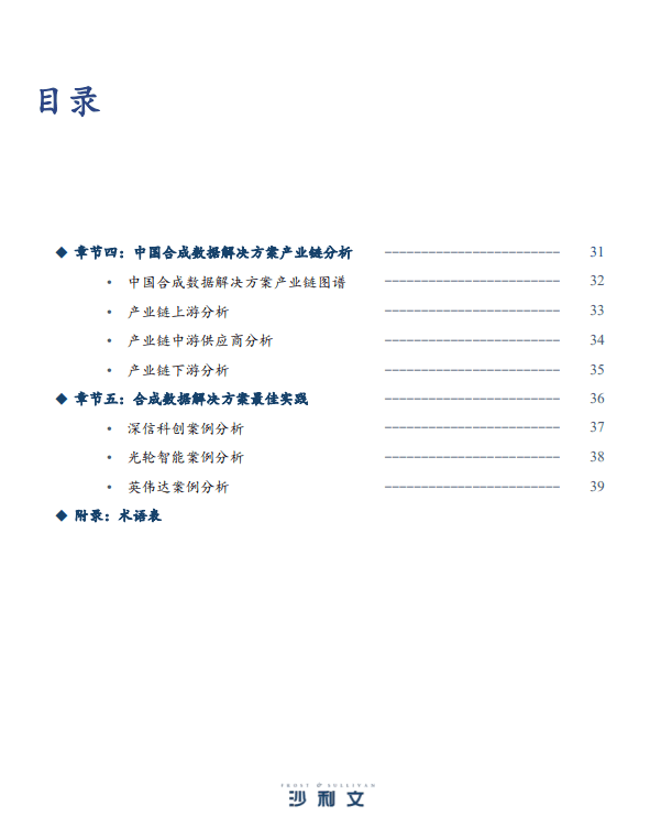 2025年中国合成数据解决方案发展洞察