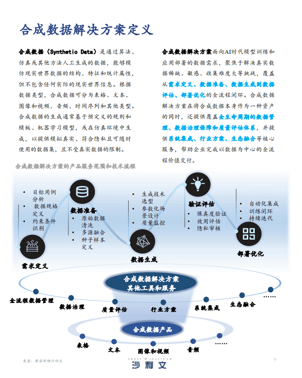 2025年中国合成数据解决方案发展洞察