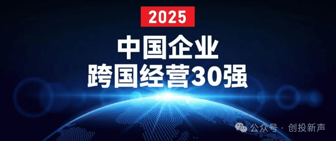 2025中国企业跨国经营30强