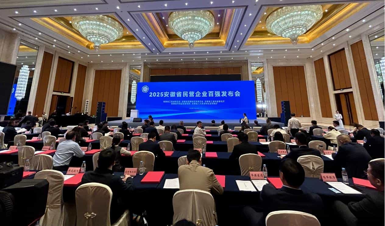 2025安徽省民营企业百强榜单发布！