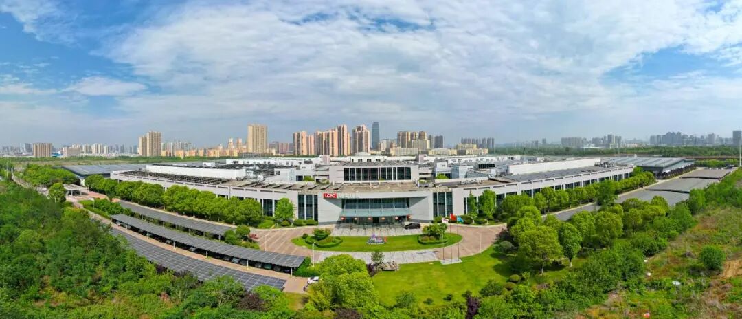 2025合肥企业50强